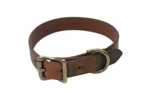 Dog Leash & Collar