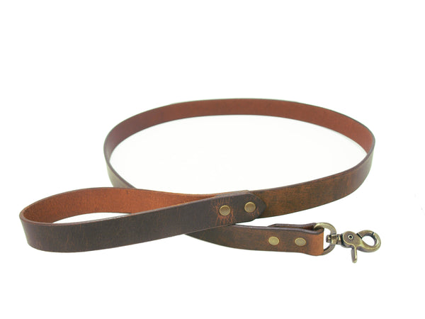 Dog Leash & Collar